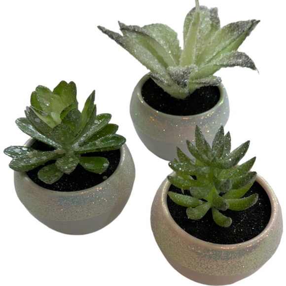 Table top Succulent Decoration Only set of 3 the tallest is 5" faux plants - Picture 1 of 7